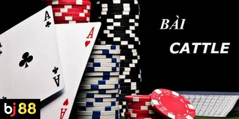 Cách chơi bài catte từ luật cơ bản đến cách đánh 4 Những Lưu Ý Khi Chơi Bài Catte Trên BJ88